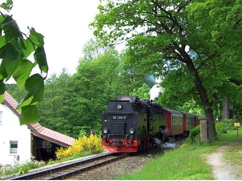 Schmalspurbahn